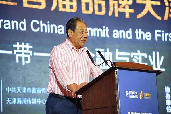 艾丰 名牌战略与品牌管理,管理,竞争,成长,第1张