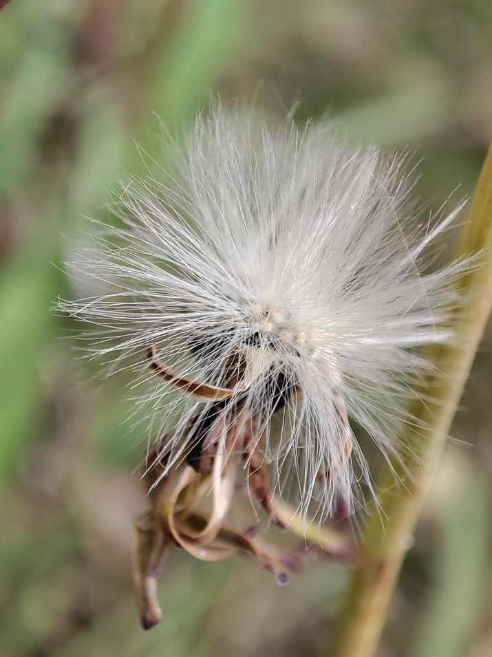 【读书】巴菲特之道,学习,管理,发展,理解,竞争,第1张