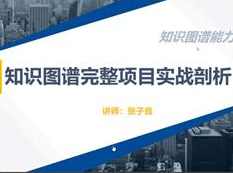 知识图谱项目实战开发视频教程（全套23集含源码）,课程,人工智能,第1张