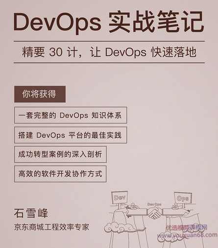 石雪峰DevOps实战笔记精要30计，让DevOps快速落地,课程,学习,管理,团队,领导,第1张