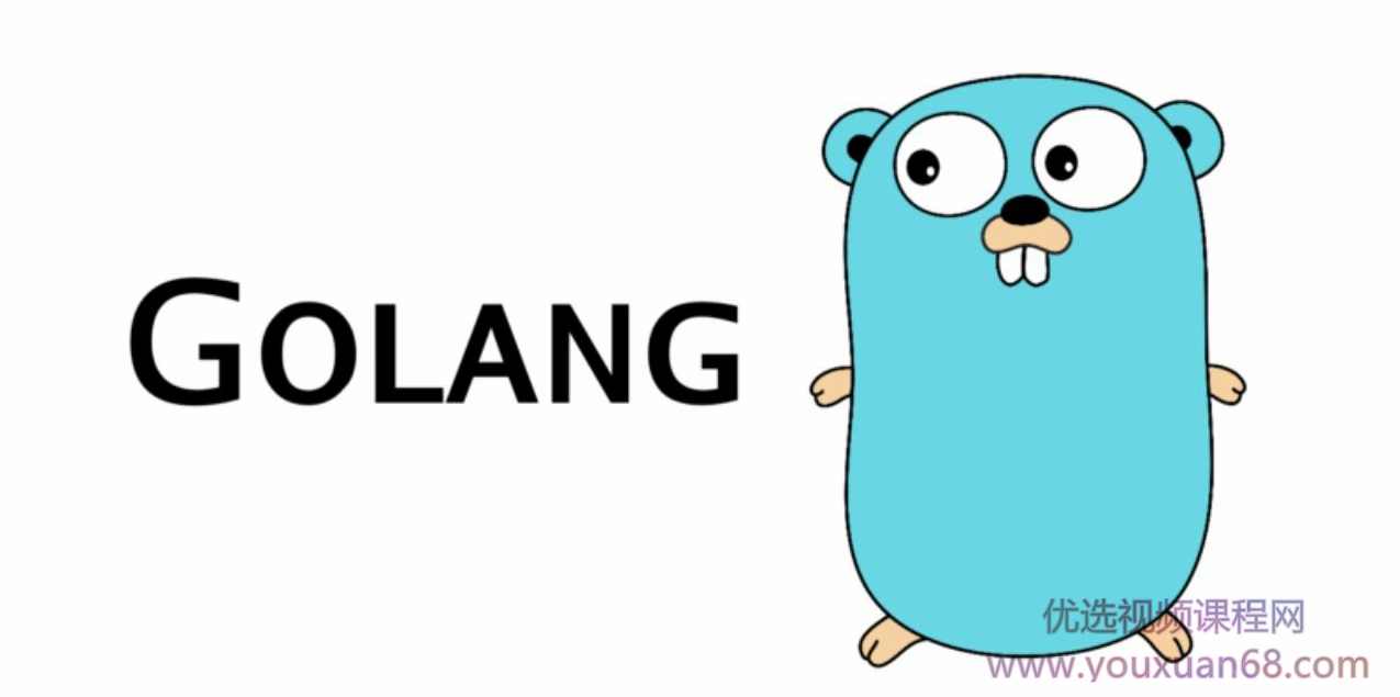 最新 Go语言零基础微服务项目,课程,管理,竞争,健康,支持,第1张