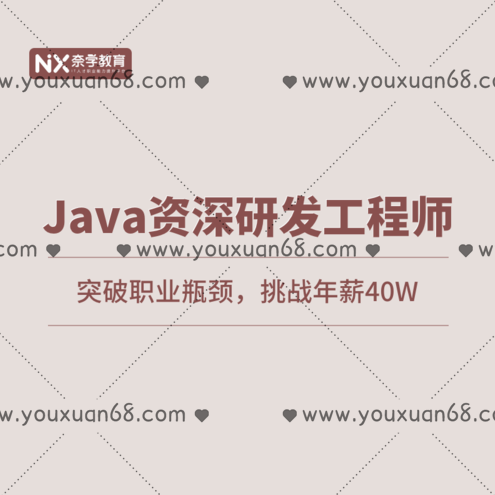 奈学Java资深研发工程师1期2021,课程,学习,理解,教育,SM,第1张