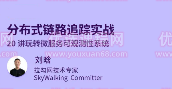 分布式链路追踪实战，20讲玩转微服务可观测性系统,课程,定位,第1张