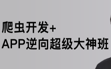 路飞-爬虫开发+APP逆向超级大神班1-3班价值4999元2022年,课程,学习,目标,微信,定位,第1张