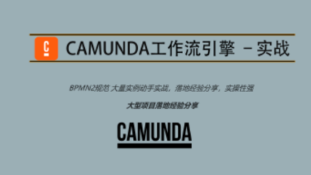 Camunda高级实战培训系列教程,课程,管理,脚本,论坛,第1张