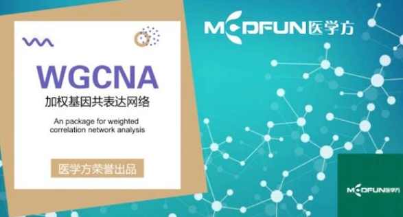 豪斯医生数据挖掘之WGCNA详解,课程,支持,第1张