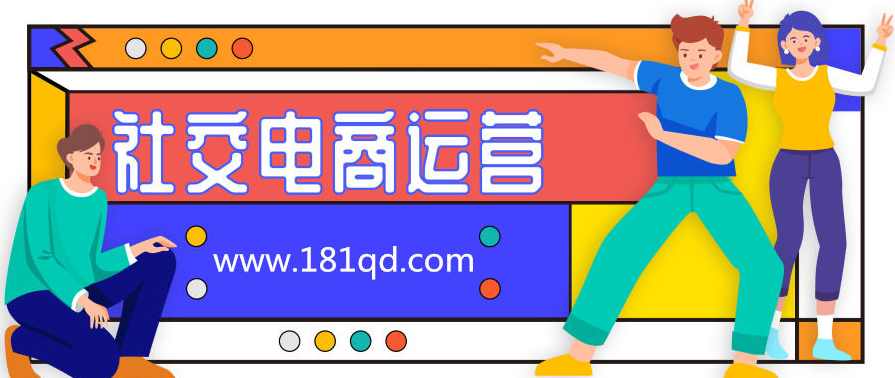 有赞天龙21式《社交电商运营体系大课》