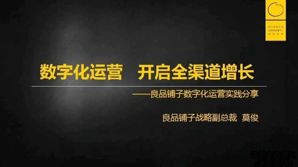 莫俊《良品铺子：数字化运营 开启全渠道增长》