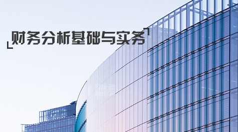 （华尔街学堂)财务分析基础与实务