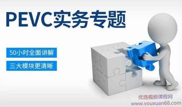 PEVC实务专题班,课程,学习,管理,发展,专业,第1张