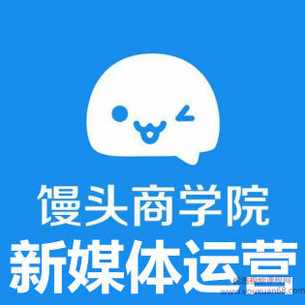 馒头商学院·新媒体运营体系课-2017版,微信,定位,团队,营销策略,新媒体运营,第1张