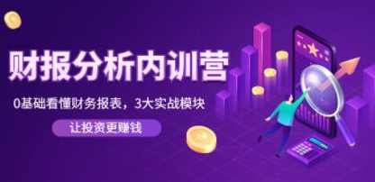 张新民《财报分析内训营》0基础看懂财务报表，3大应用实战模块，让投资更赚钱,课程,学习,管理,发展,理解,第1张