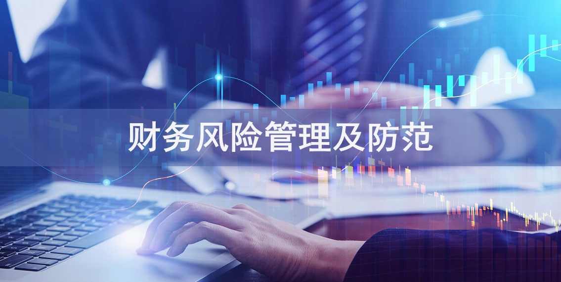 于久洪 财务分析与风险防范