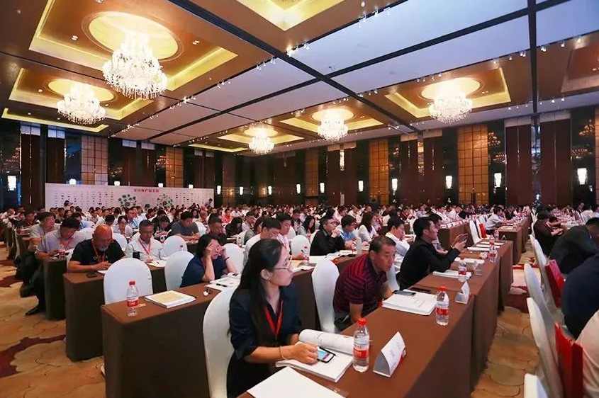 王利芬 点评旅游服务类创业者,第1张