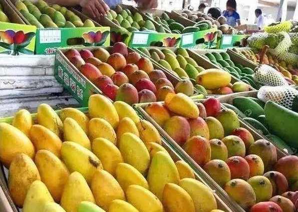 近百个小本创业的赚钱项目分享,第1张 近百个小本创业的赚钱项目分享,第1张