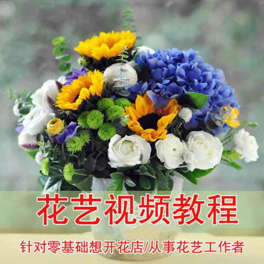 插花花艺盆景视频教程针对零基础想开花店或从事花艺工作者,课程,学习,第1张 插花花艺盆景视频教程针对零基础想开花店或从事花艺工作者,课程,学习,第1张