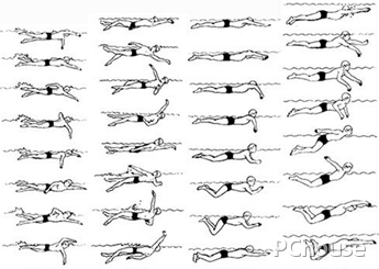 游泳教程-4个姿势,第1张