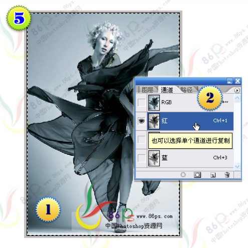 photoshop神奇的通道_第一节通道的介绍,第1张