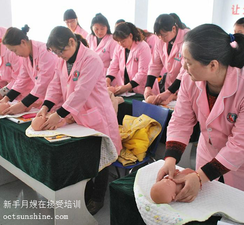 金牌月嫂培训视频教程10DVD全套