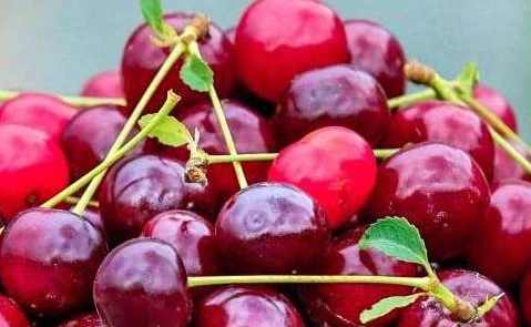 果树与水果视频教学合集共88讲,管理,第1张