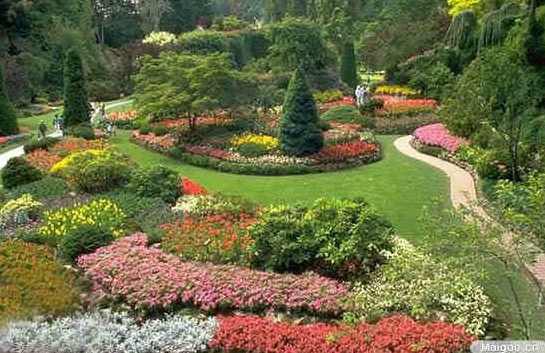 《园林植物造景设计》秦华全11讲,第1张