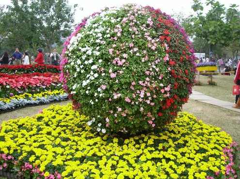 《园艺植物繁育学》钱春全20讲