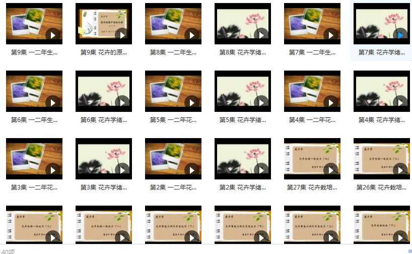 《花卉学》在线教学视频I+II合集(浙江大学 夏宜平40集),第2张