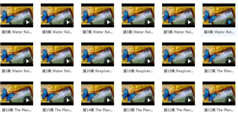 《植物生理学及实验》全套讲课视频（郑绍建 蒋德安37讲）,课程,合作,第2张