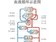 2019高考生物必修3系统提分班_高三生物课程讲解及提分训练
