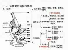 2019高考生物全部实验系统提分班_高三生物实验课视频教程