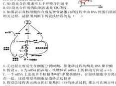 高考生物期末抢分冲刺模拟套卷集训_高三生物题抢分课程,课程,高三,第1张
