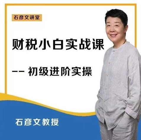 财稅小白实战课 财务 会计实操课【石彦文讲财税】_石彦文讲财税