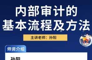 中华会计网校孙阳：内部审计方法及流程（视频）