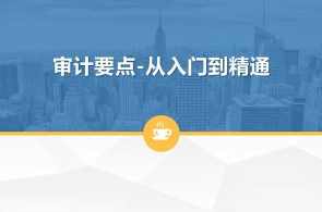 一门课学通审计实务：审计要点-从入门到精通