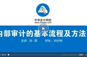 2022年内部审计的工作流程(视频+讲义）