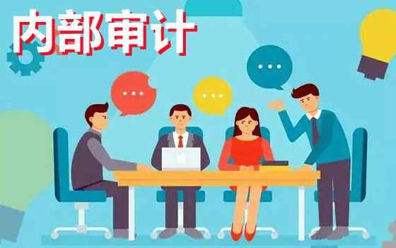 中华会计网校：内部审计讲解