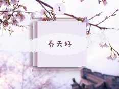 2019通用版高三英语春季系统辅导冲刺班教学视频(14讲 斯琴),学习,理解,小说,高三,第1张