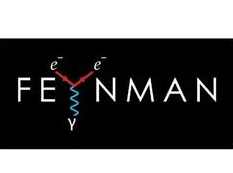 《量子场论进阶之费曼图的创世纪讲解》全套视频课程（133集）