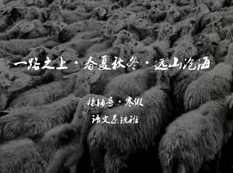 高中高三语文寒假系统辅导班教学视频(代薇老师 7节),学习,小说,高三,第1张