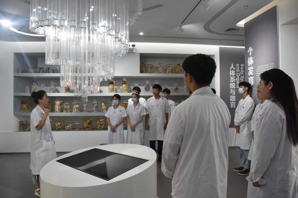 中南大学公开课-人体解剖学名师讲座（8集全）,课程,学习,第1张