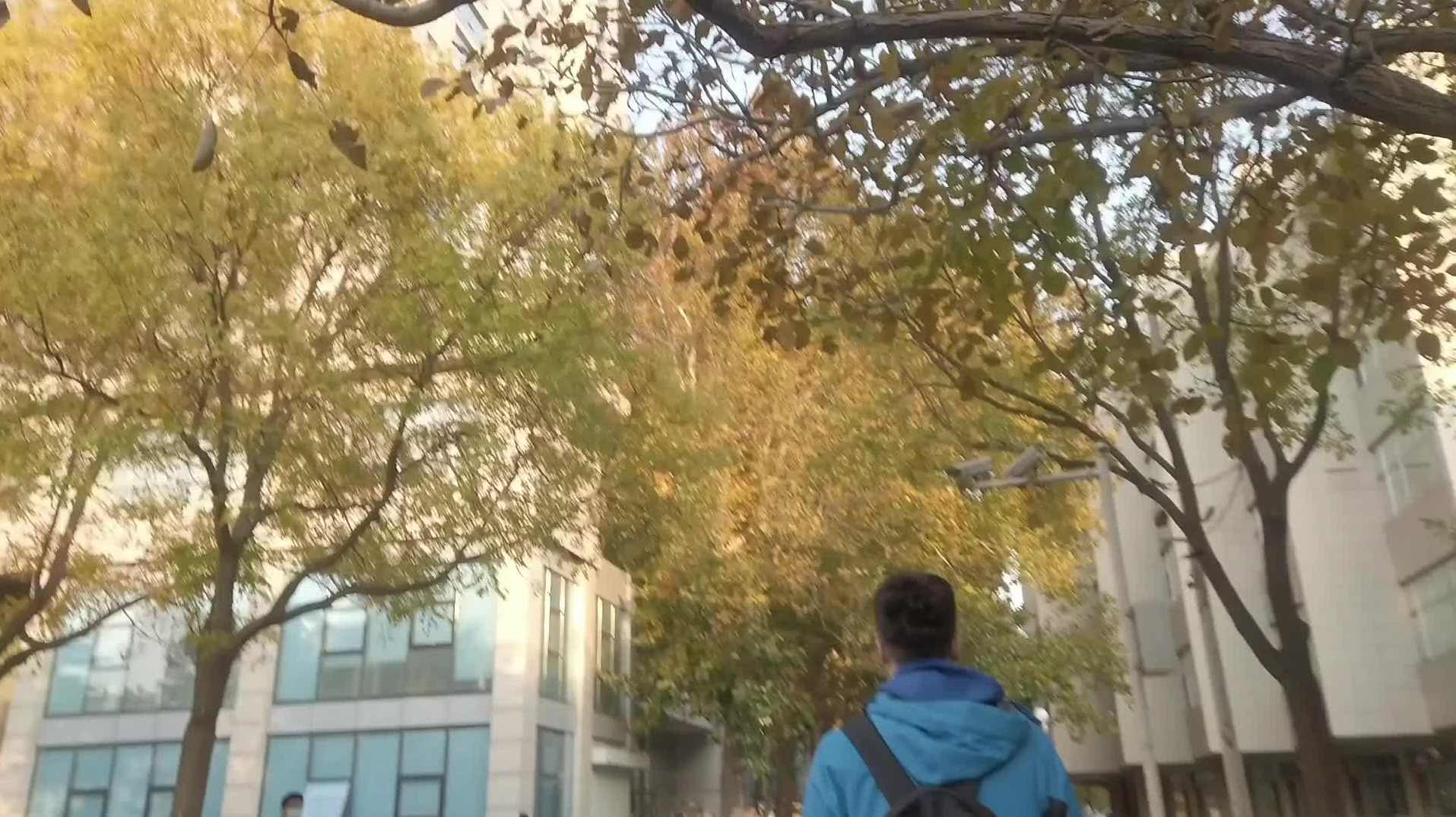 郇中丹 北京师范大学《数学分析》全233讲