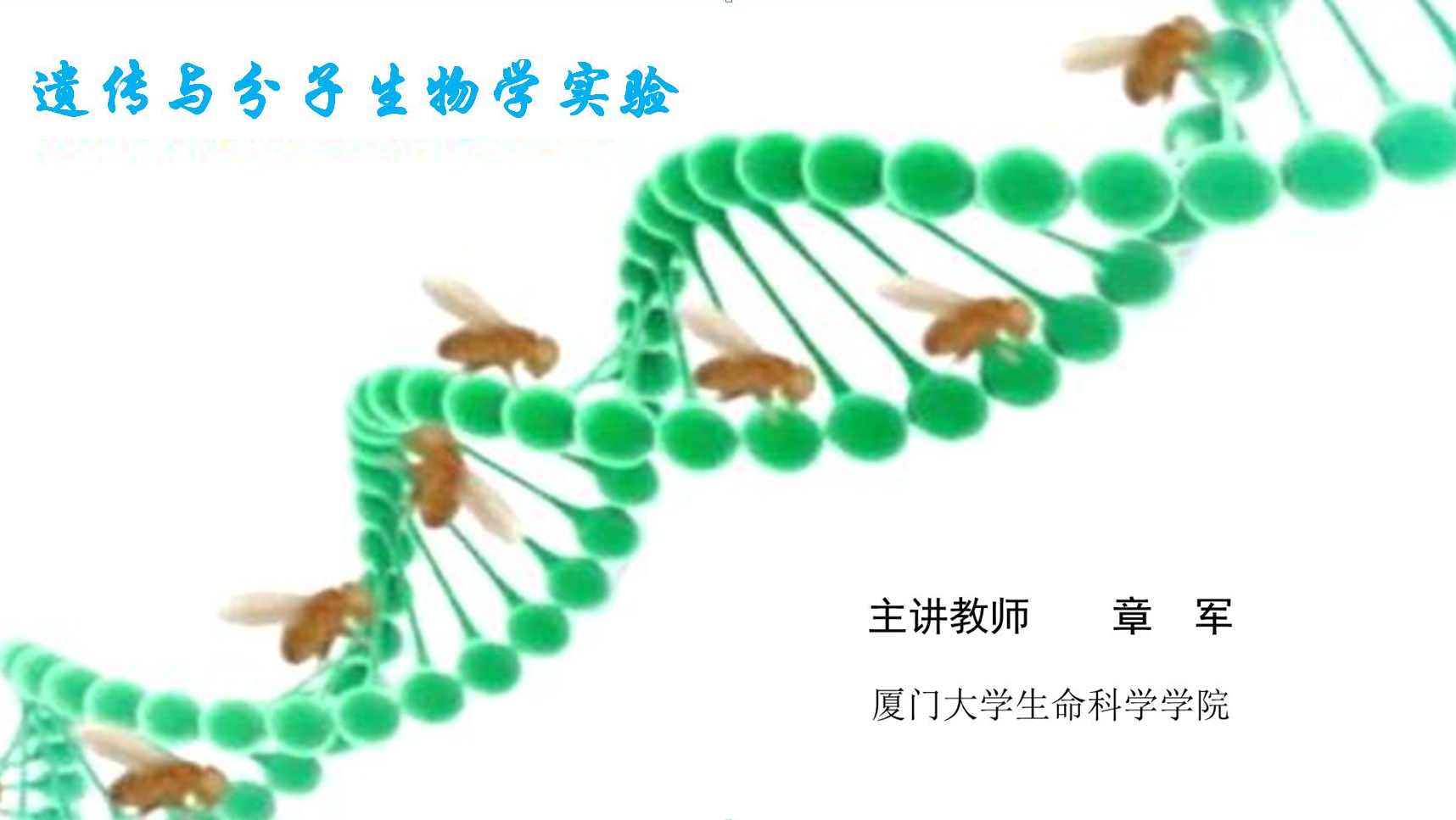 卢龙斗 段红英 分子遗传学全44集