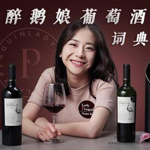 醉鹅娘葡萄酒词典 红酒基础知识大全培训