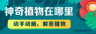 神奇植物在哪里，动手动脑，解密植物