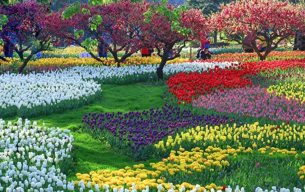 台大 园艺学原理