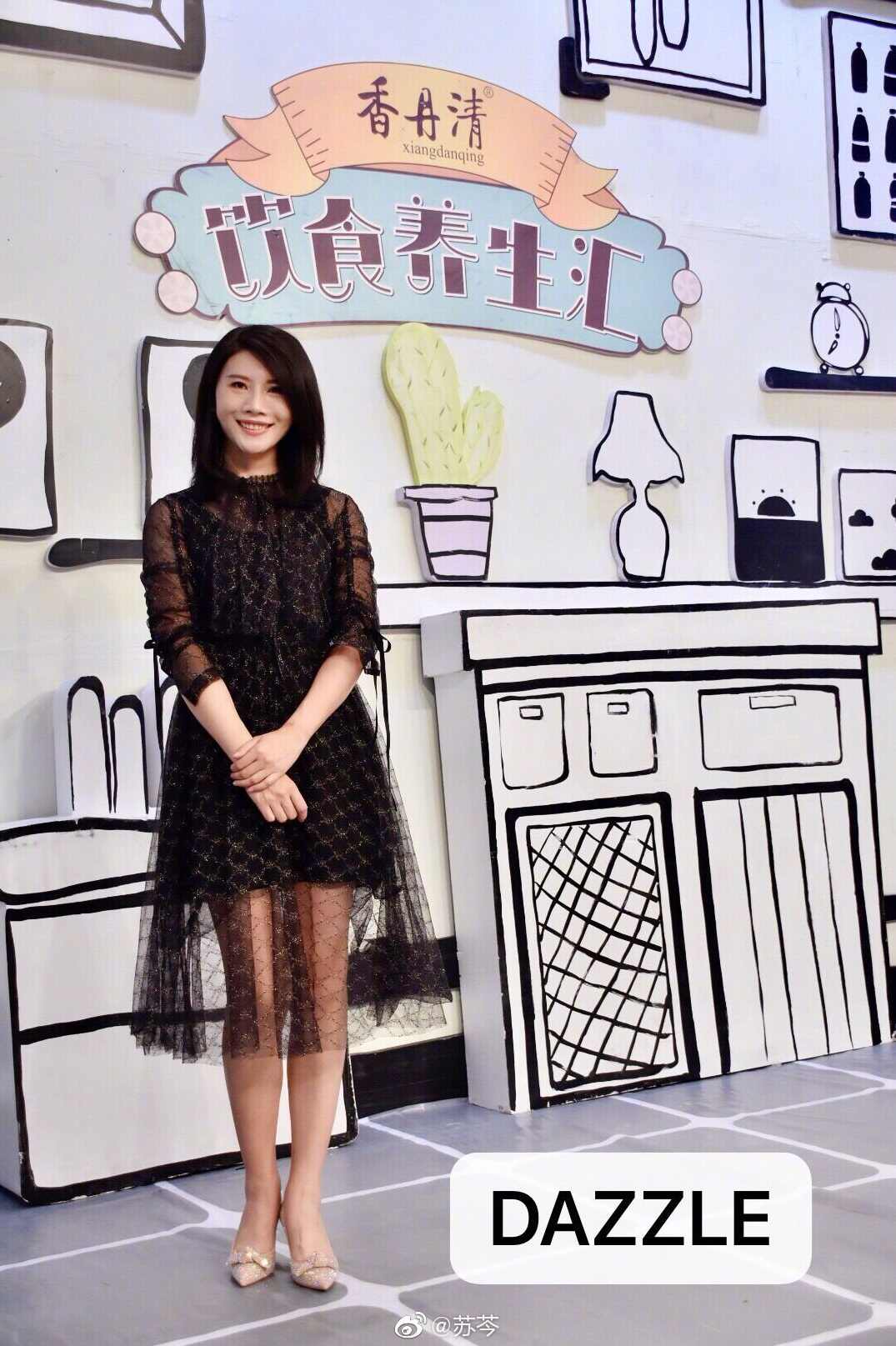 苏圆圆减肥记 （播音-金玉) 全33集,第1张