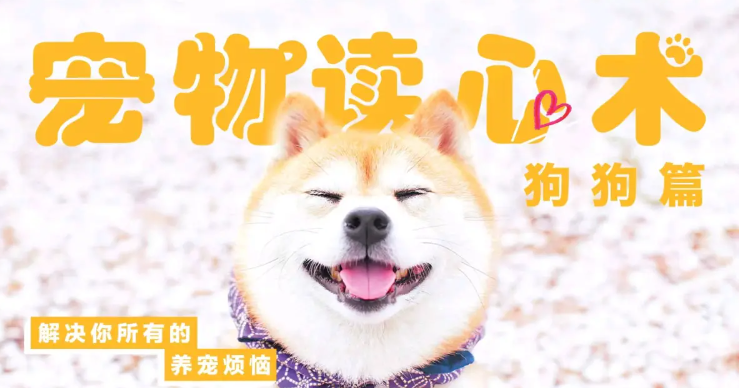 宠物读心术：解决你的养猫烦恼、解决你的养狗烦恼