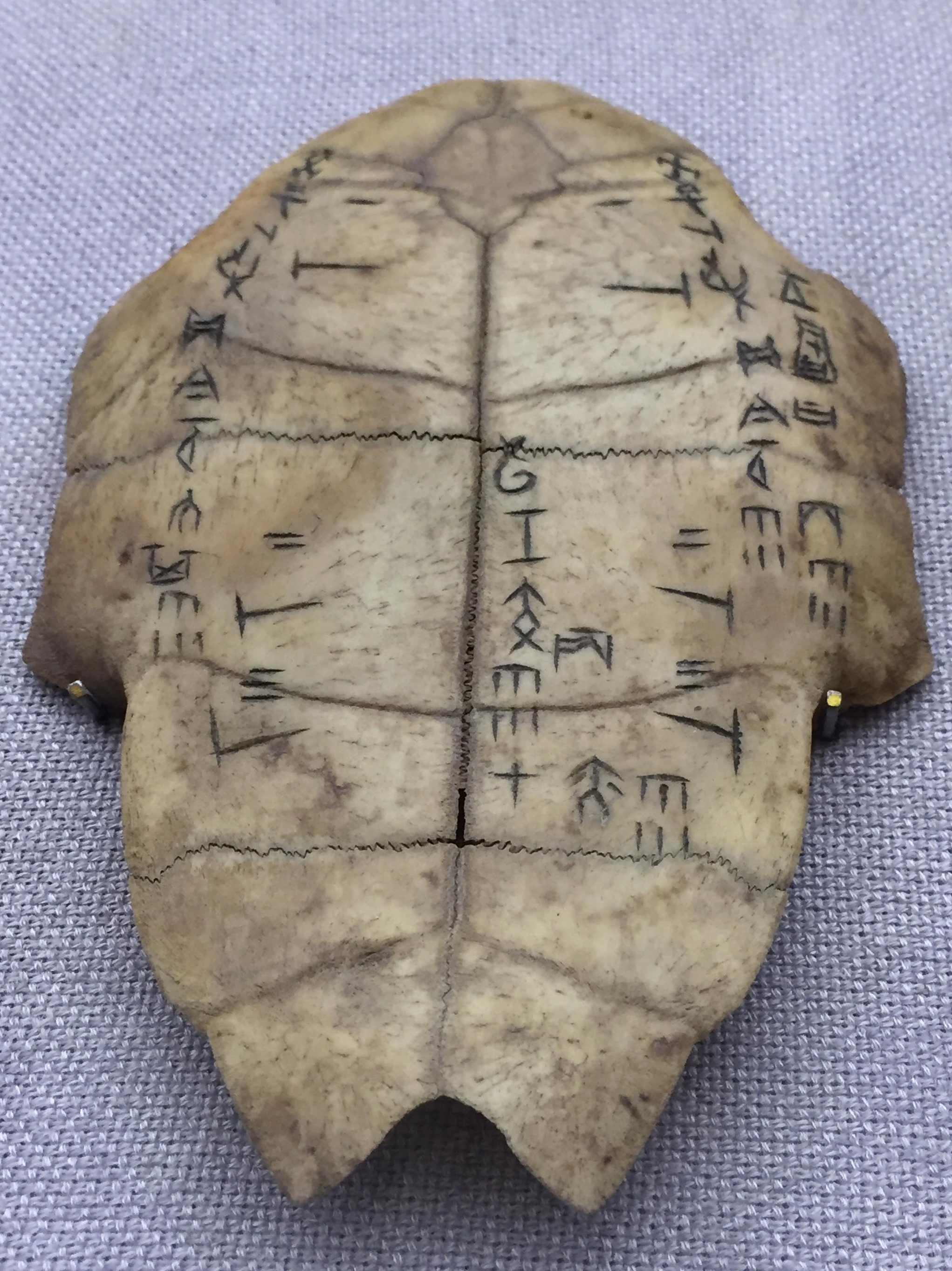 甲骨碎 （播音-小东) 全15集