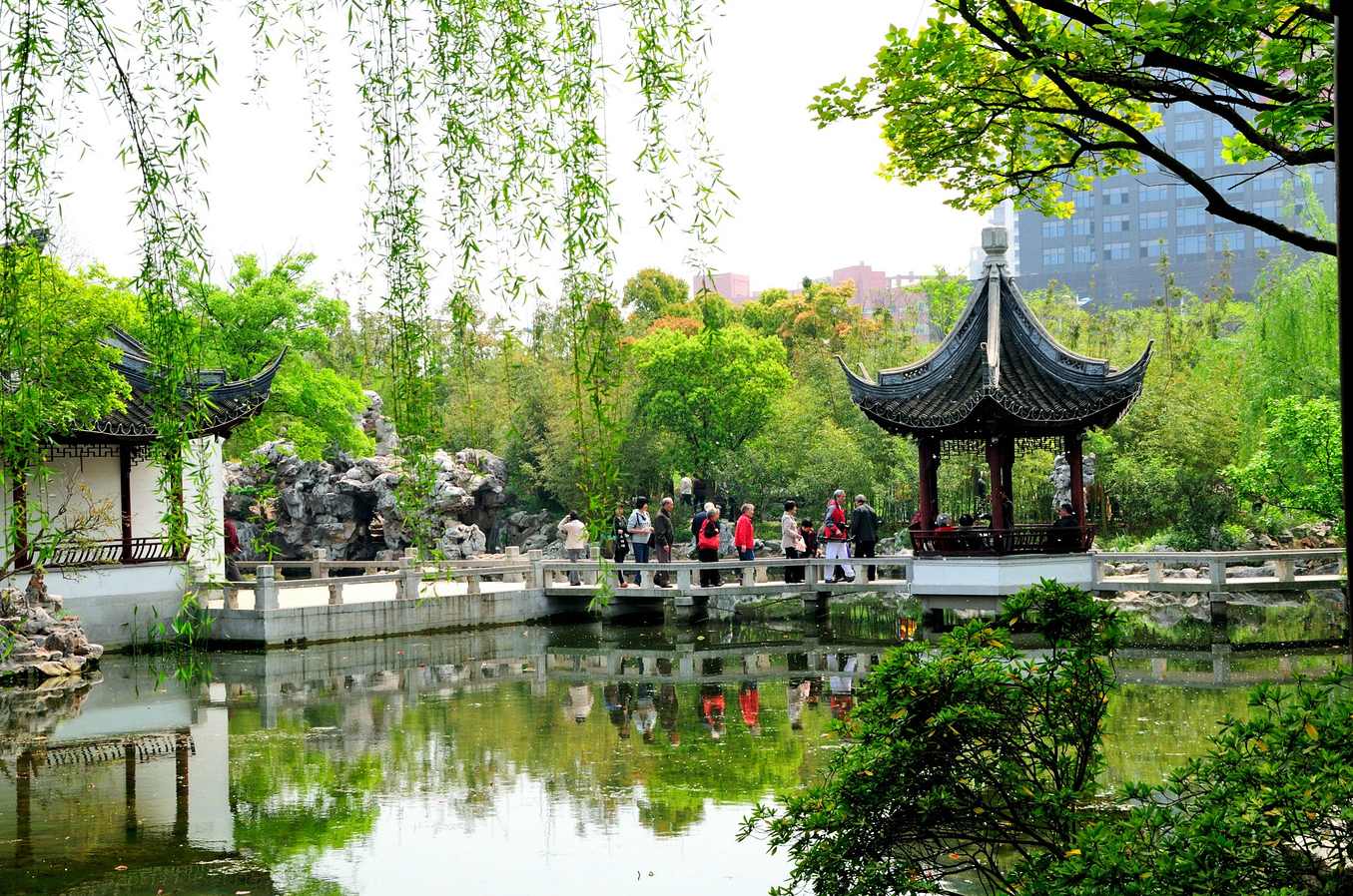 古园惊魂 （播音-不详) 全6集,第1张