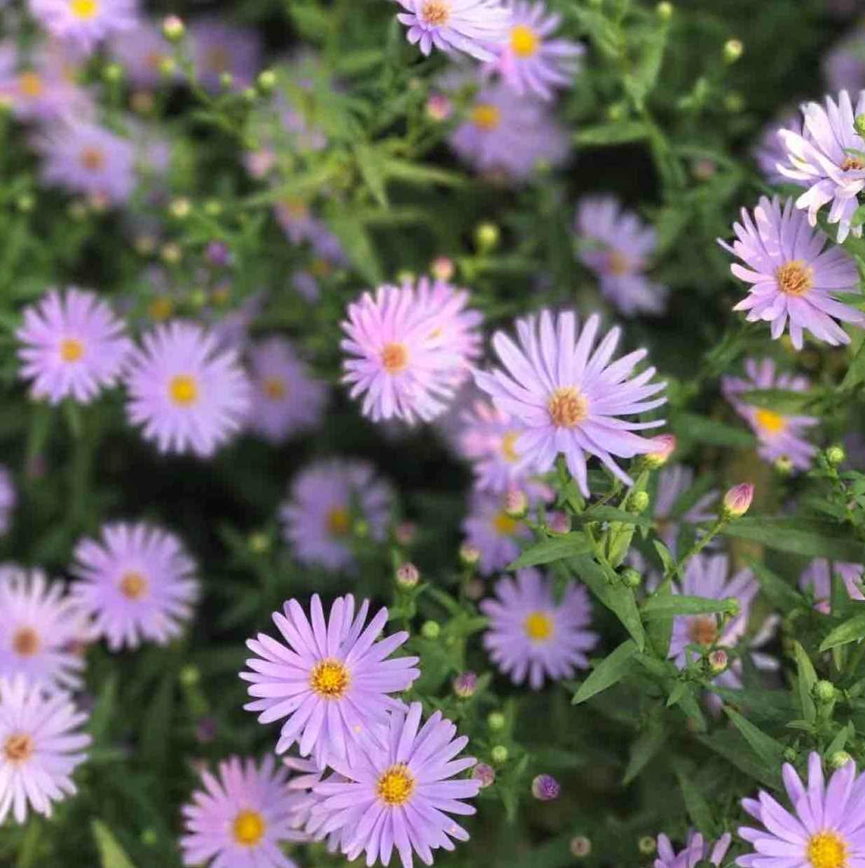 冬曦好讲究（全集)(播音——梁冬_林曦)